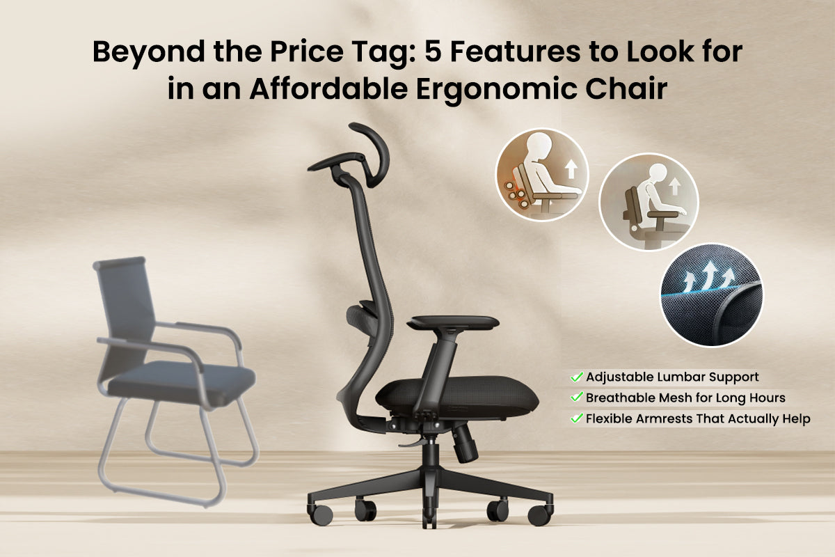 Affordable ergonomic chair buying guide highlighting adjustable lumbar support breathable mesh and flexible armrests