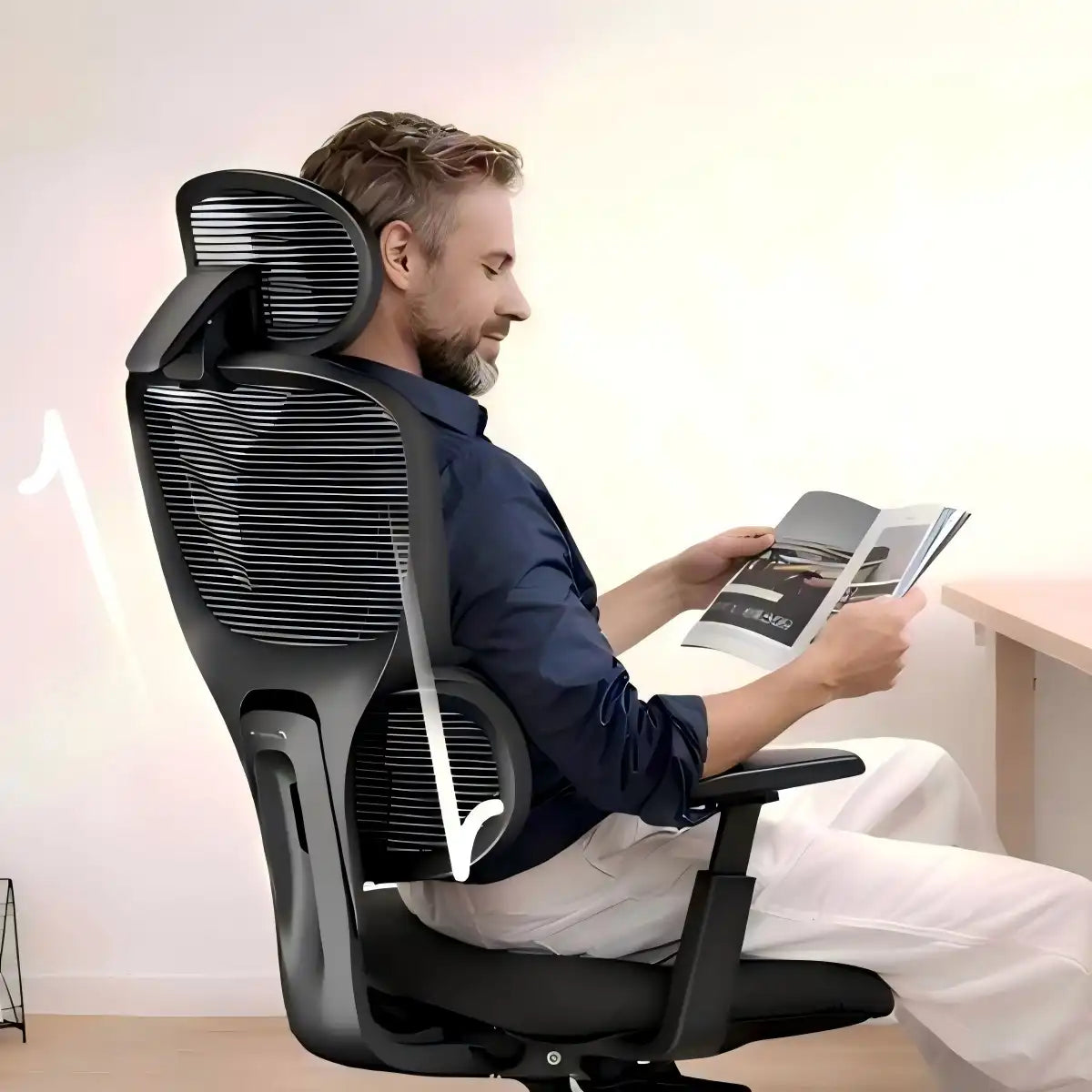 Ergonomic Chairs