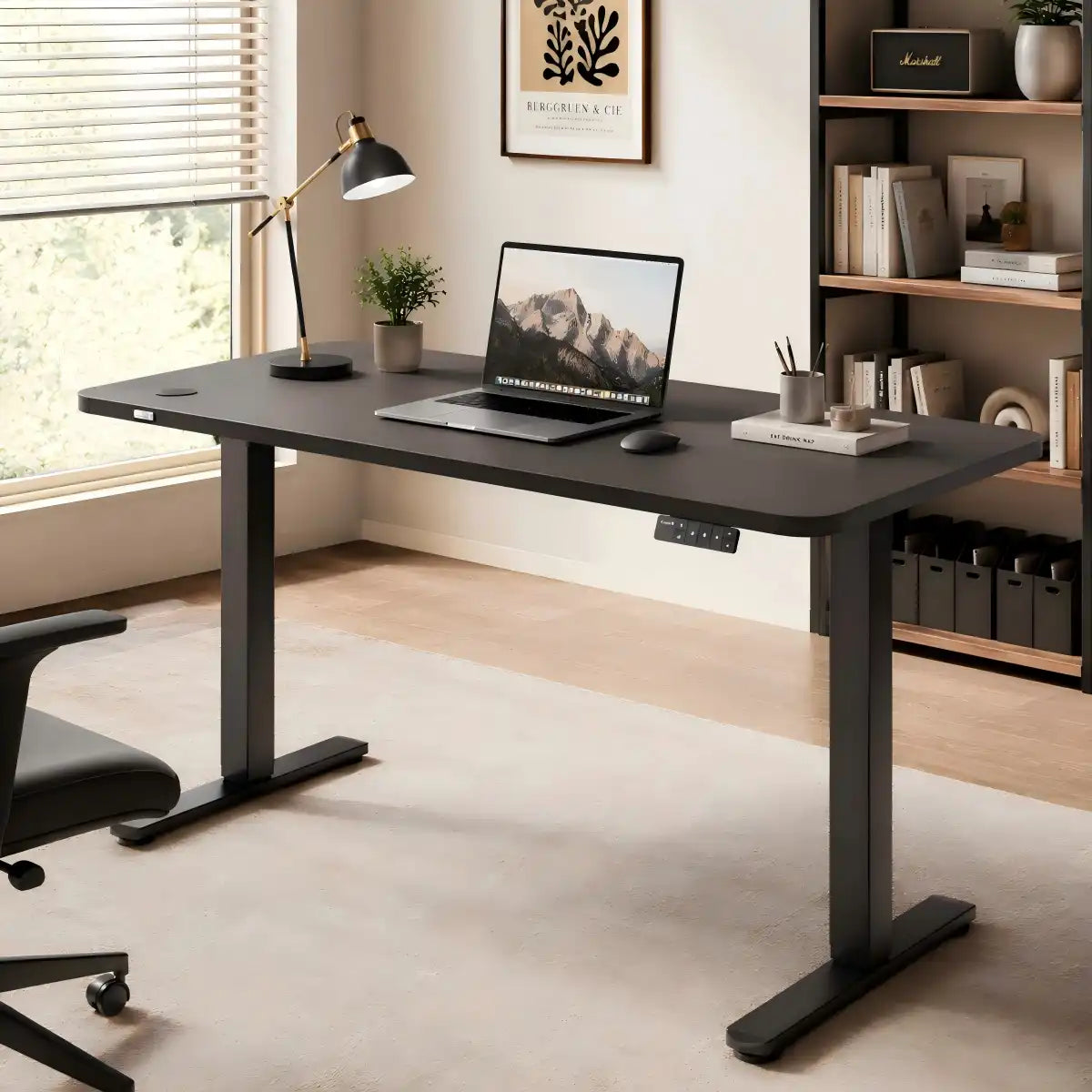 Electric Standing Desks