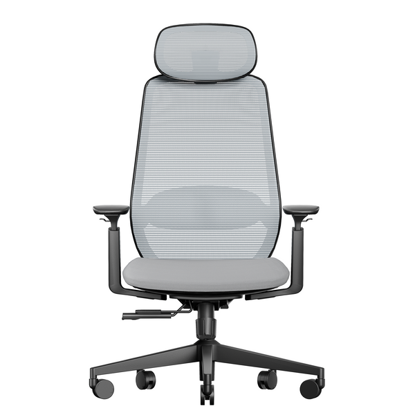 EC200 Ergonomic Mesh Office Chair