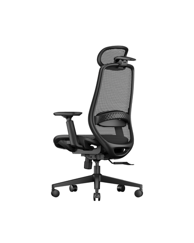EC Series – Ergonomic Office Chairs – ProtoArc