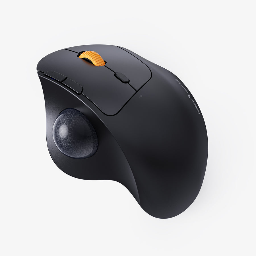 Support protoarc