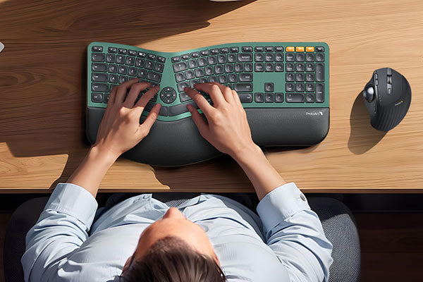 Illuminated Keyboard & Ergonomic Mouse Bundle