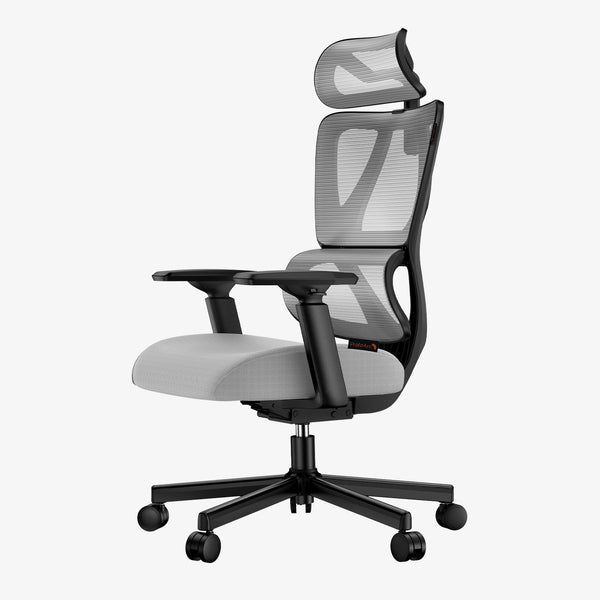 EC100 Ergonomic Mesh Office Chair