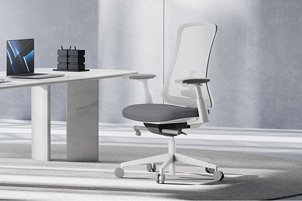 Ergonomic Chair Seat Cushion Bundle