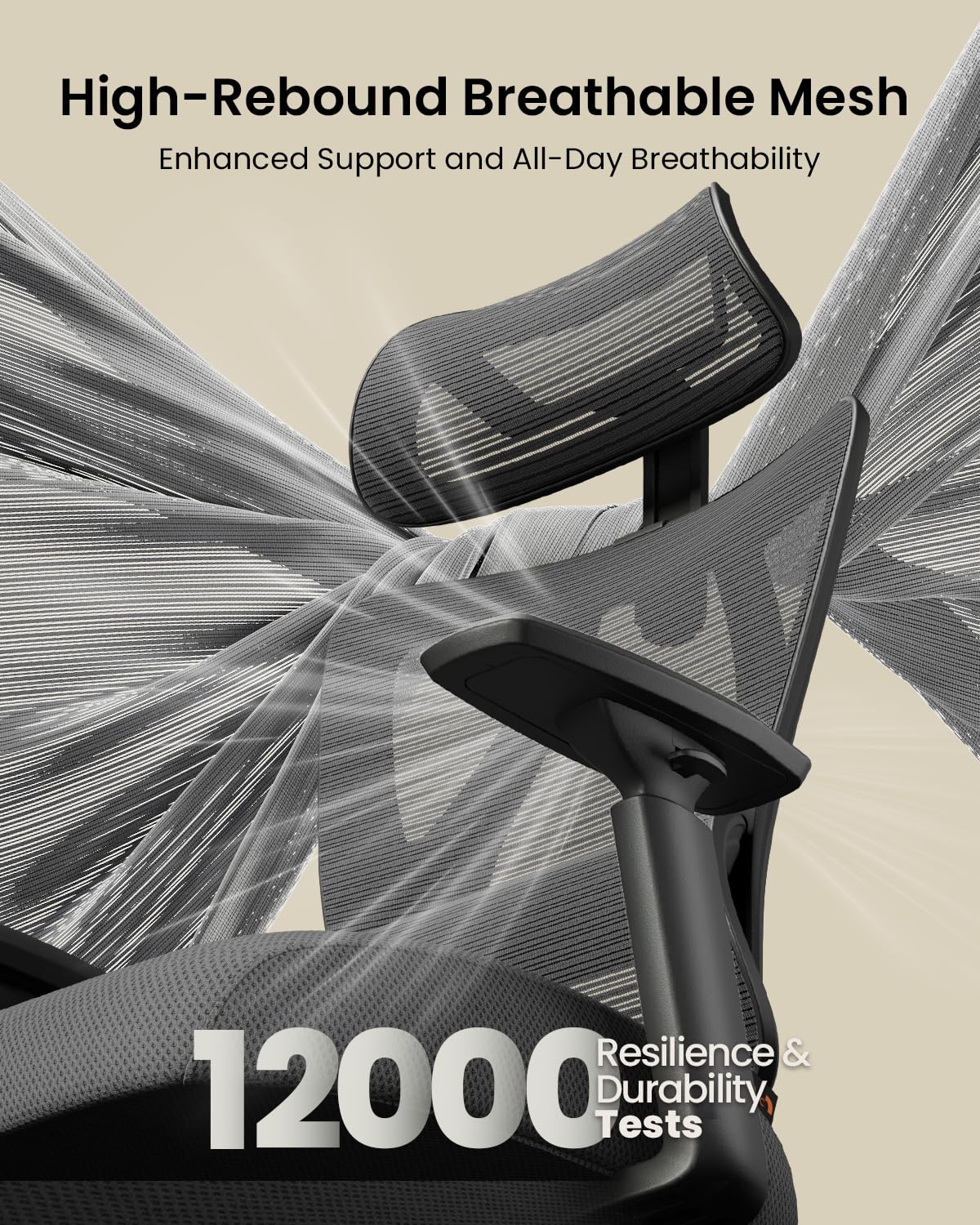 ProtoArc EC200 Office Chair - Thumbnail 3