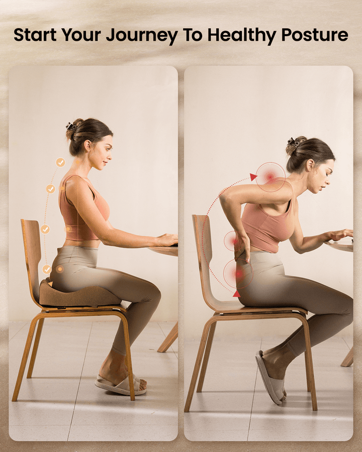 SC Butterfly Ergonomic Seat Cushion